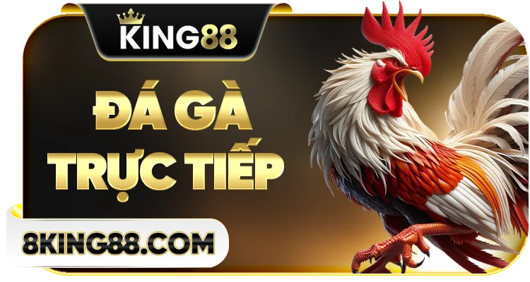 Đá gà trực tiếp